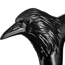 Carved Raven Walking Cane - Black Cane for Men