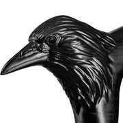 Carved Raven Walking Cane - Black Cane for Men