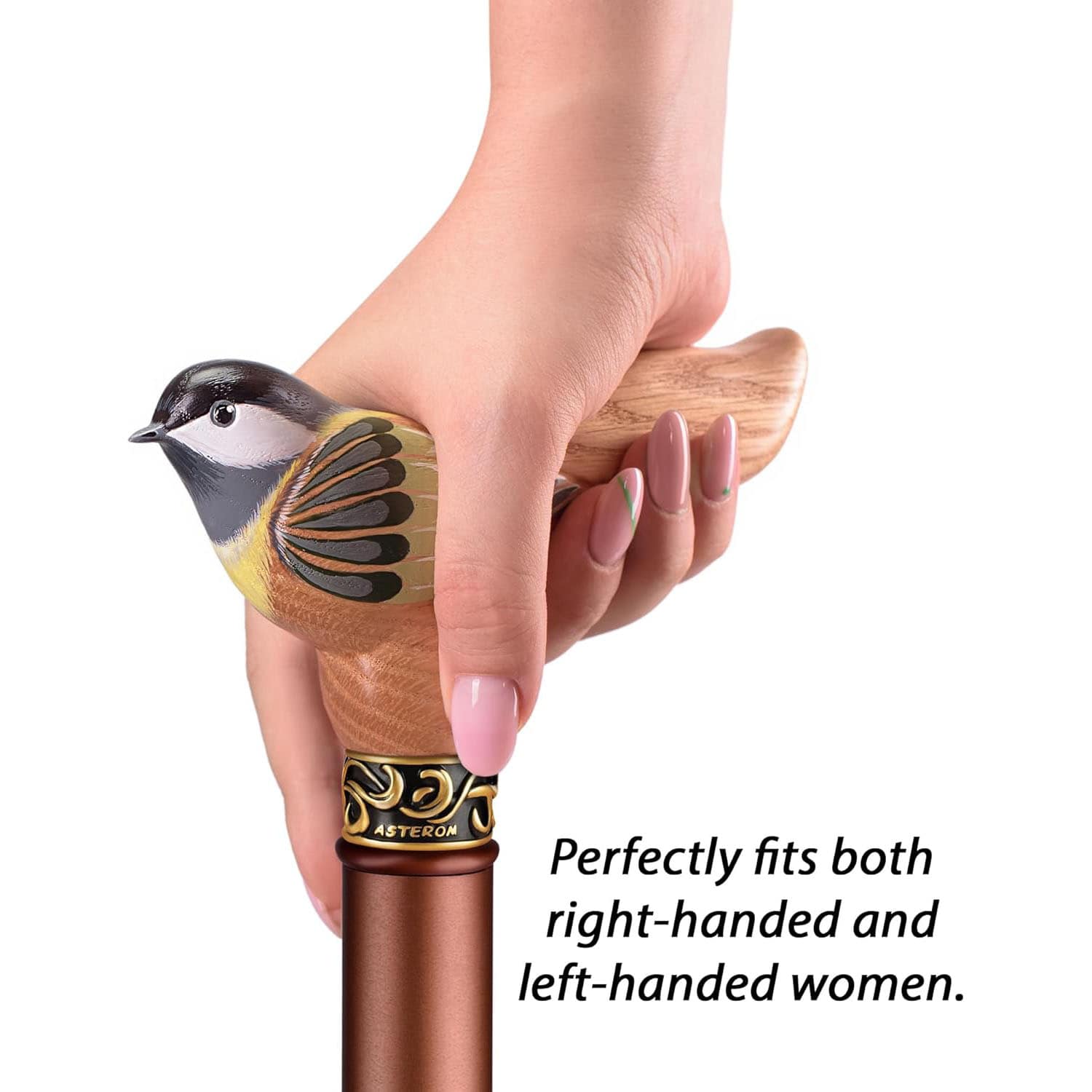 Hand-Painted Birdie Walking Cane for Women