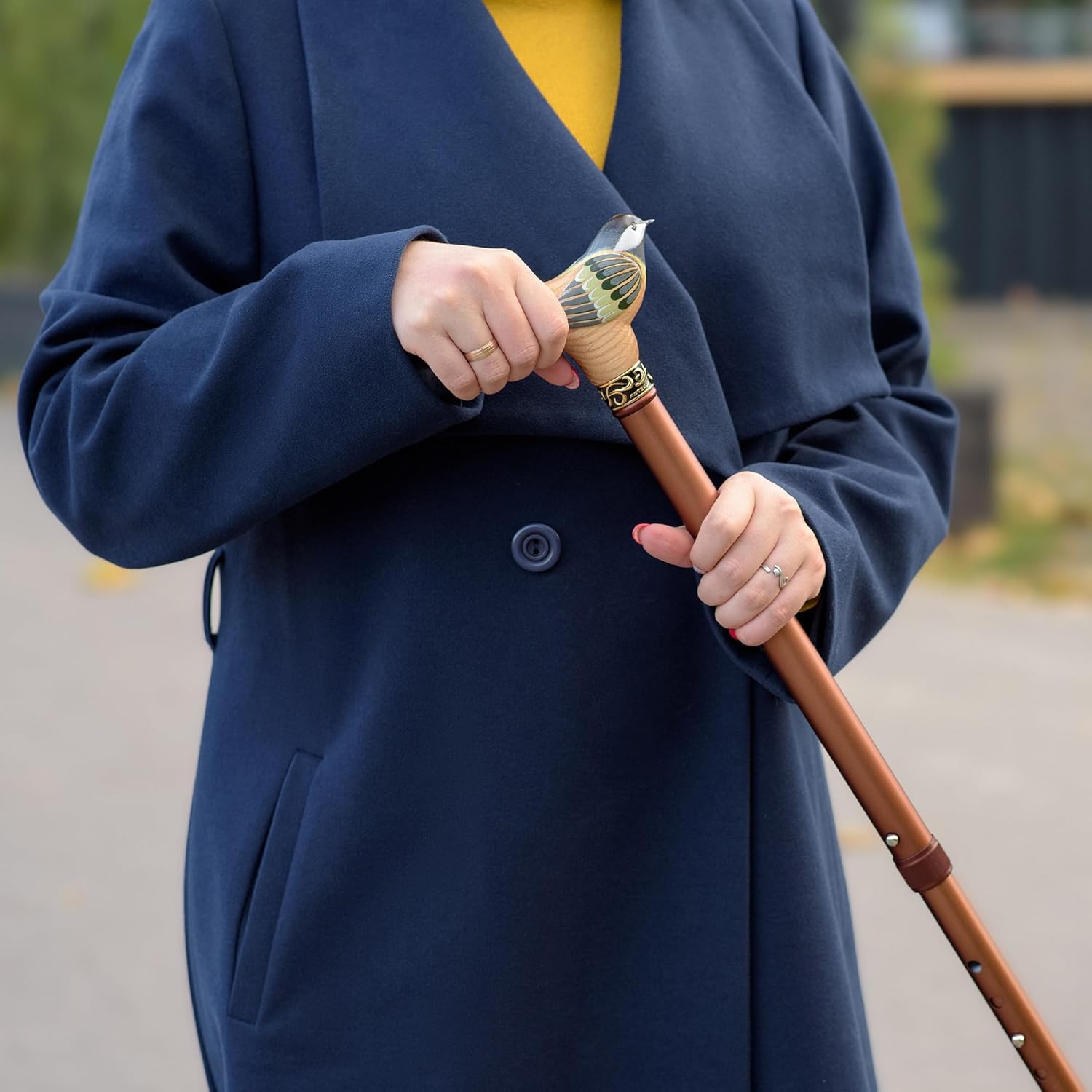Hand-Painted Birdie Walking Cane for Women