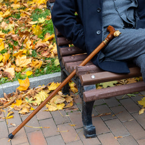 Lioness Walking Cane - Exclusive Handmade Women Men Canes