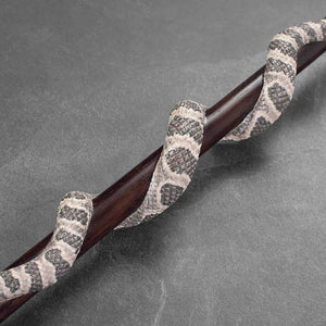 Rattlesnake - Hand Painted Walking Cane for Men