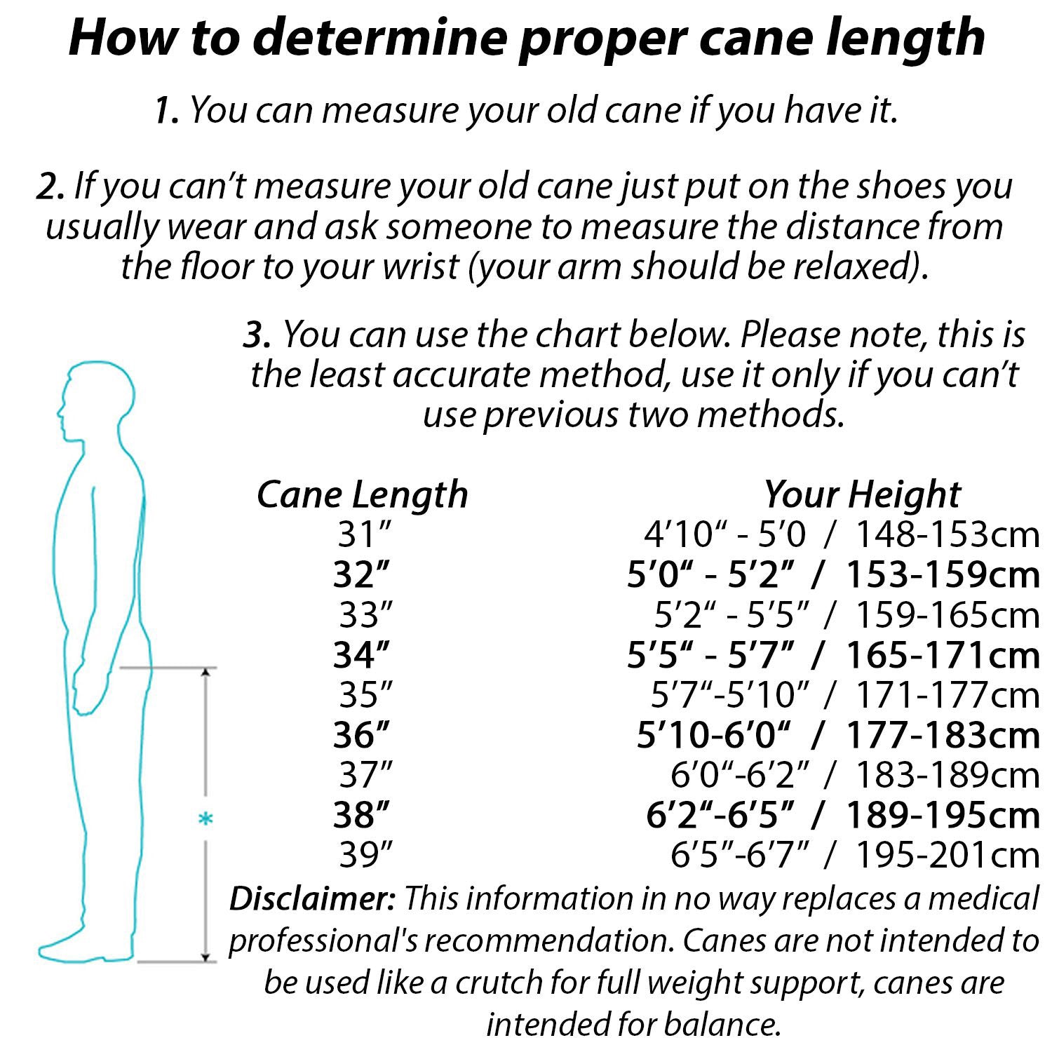 Owl Walking Cane Fancy Walking Stick